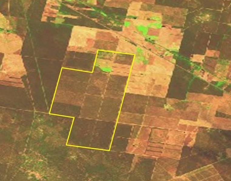 3100ha Estancia Santa Maria - San Martin - Santiago del Estero
