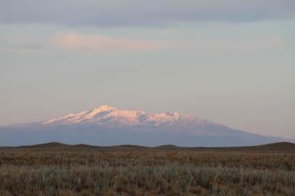 74.000ha - Cochicó - Mendoza